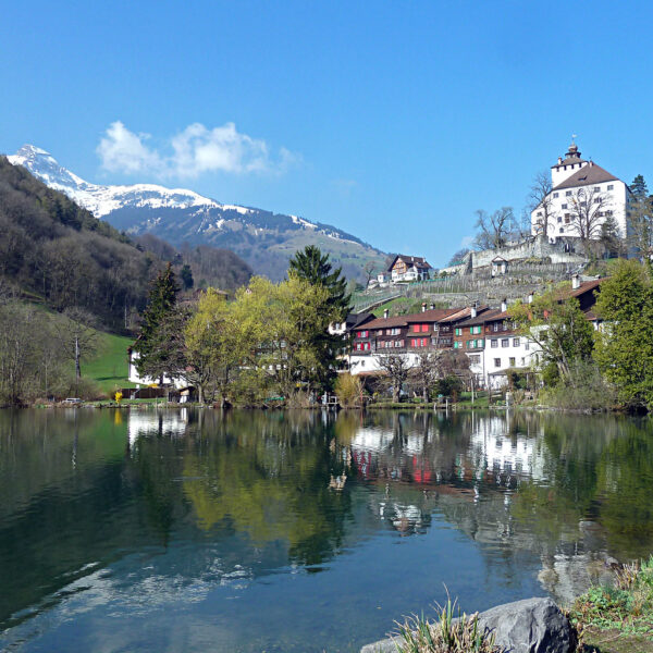Werdenbergersee mit Schloss Werdenberg und Alpen im Hintergrund