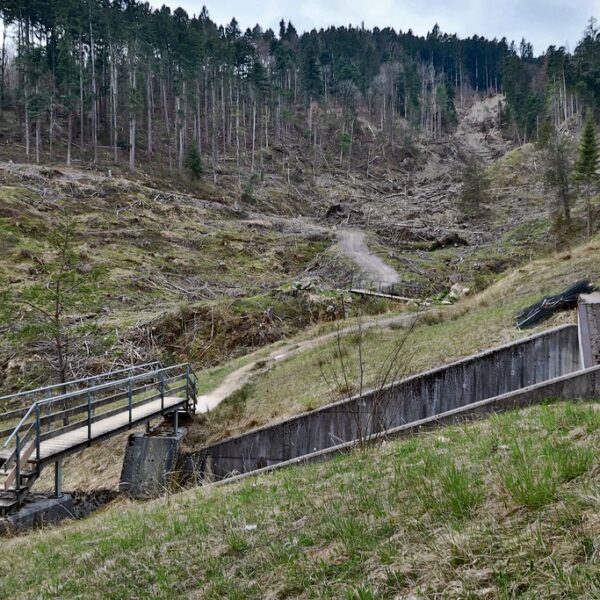 Brücke in Widenbach (Altstätten) vor kahlem Waldhang.