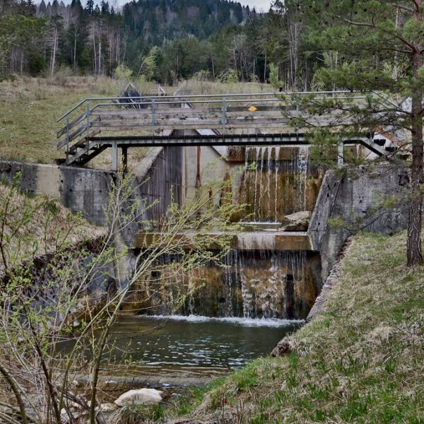 Wasserfall am Widenbach, Altstätten, unter einer Holzbrücke. Ländliche Szene mit Bäumen und Grün.