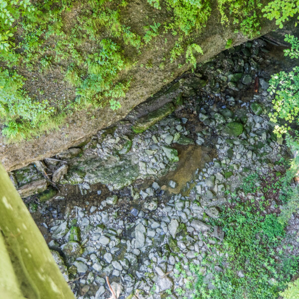 Blick von oben auf den Wissbach, einen kleinen Bach mit Steinen und umgebender Vegetation.