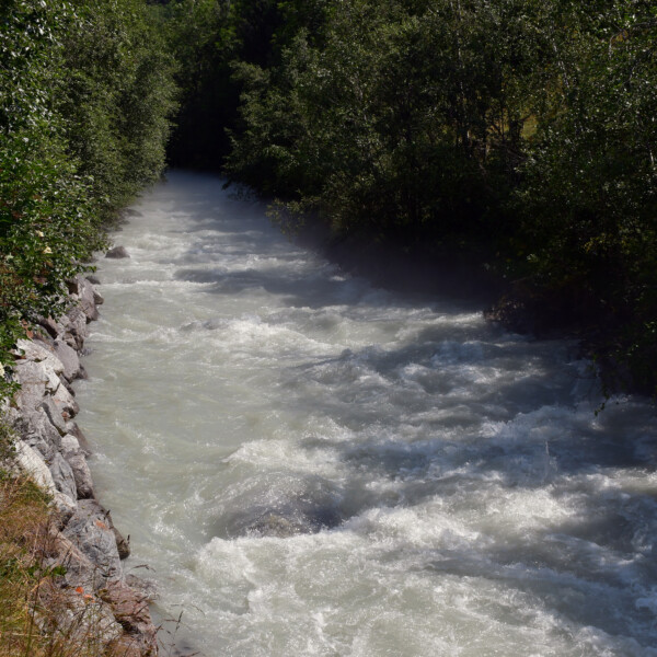 Wilder Wysswasser-Fluss zwischen Bäumen und Felsen.