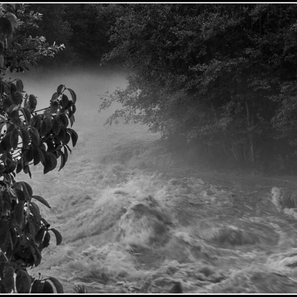 Wilder Fluss Wysswasser mit Bäumen am Ufer, Schwarzweißfotografie.