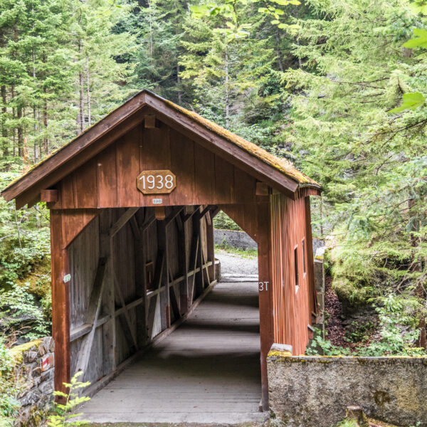 Gedeckte Holzbrücke Zanaibach, Baujahr 1938, umgeben von dichten grünen Bäumen.