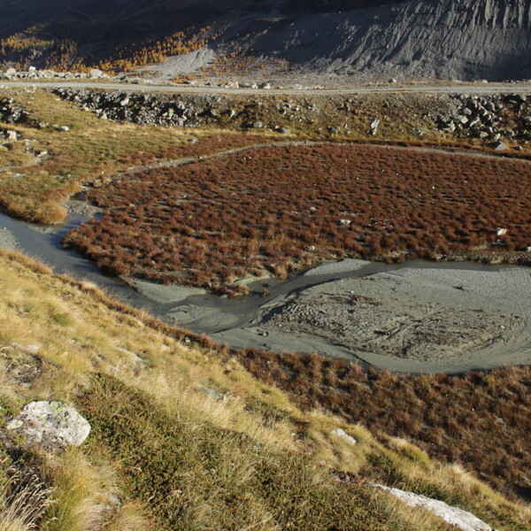 Zmuttbach in Zermatt: Flusslauf durch alpine Landschaft mit herbstlicher Vegetation.