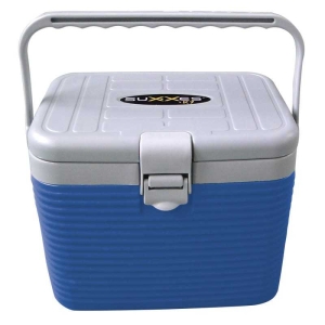 Kühlbox 8 Liter: Blaue und graue tragbare Kühlbox mit Griff