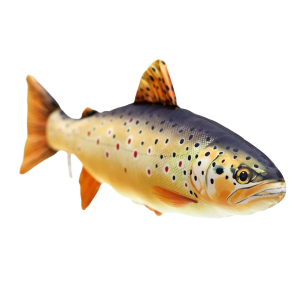 Stofffisch Bachforelle 62cm: Plüschtier in Form einer lebensechten Forelle.