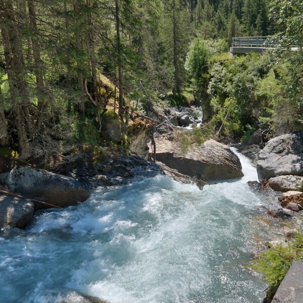 Tosende Albula-Flusslandschaft mit Felsen und Bäumen im Sonnenlicht.
