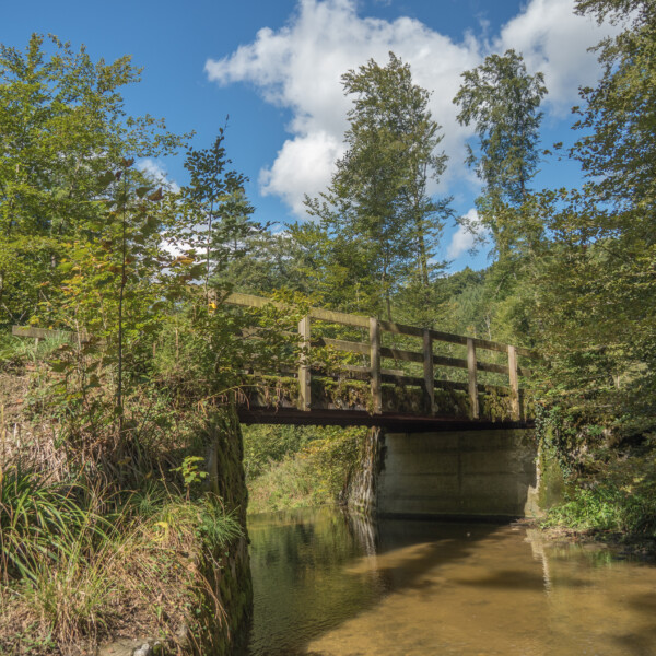Holzbrücke über den Fluss Arbogne in grüner Landschaft unter blauem Himmel.