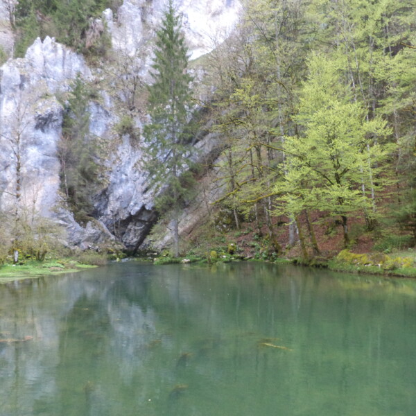 Grüner See am Ufer der Areuse mit Felsen und Bäumen.