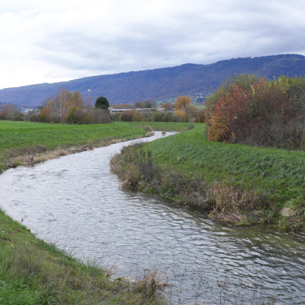 Arnon Fluss schlängelt sich durch grüne Landschaft unter bewölktem Himmel.