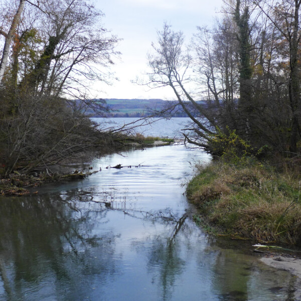 Arnon: Bach mündet in einen ruhigen See, umgeben von Bäumen im Herbst.