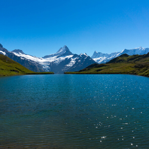 Bachalpsee-See mit Spiegelung der schneebedeckten Schweizer Alpen unter blauem Himmel.
