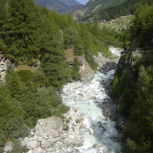 Wilder Fluss Borgne zwischen grünen Bergen.