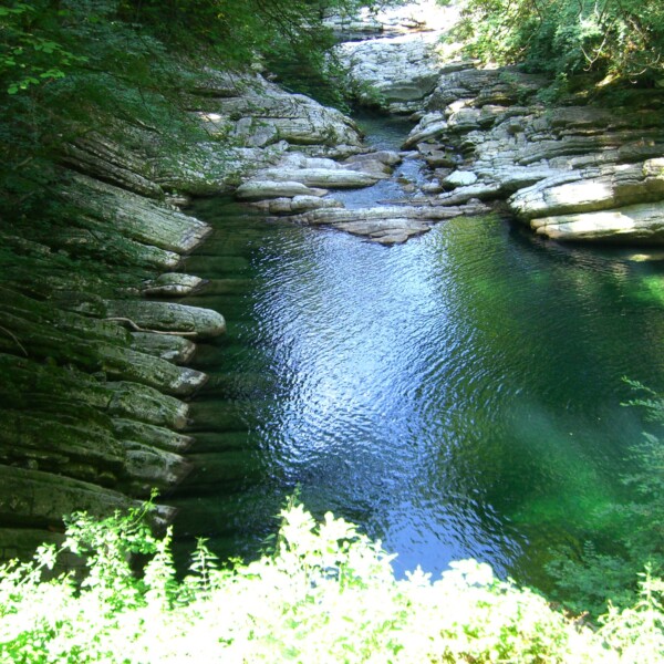 Klares Wasserbecken im Breggia-Fluss, umgeben von Felsen und üppigem Grün.
