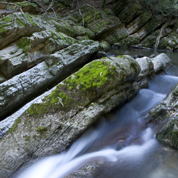 Moosbedeckte Felsen im Breggia-Fluss. Wasser fließt über die Steine.