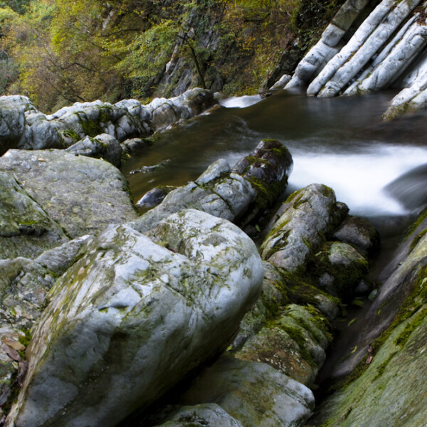 Fließendes Wasser über Felsen im Breggia-Tal, Tessin. Moosbedeckte Steine und herbstliche Bäume.