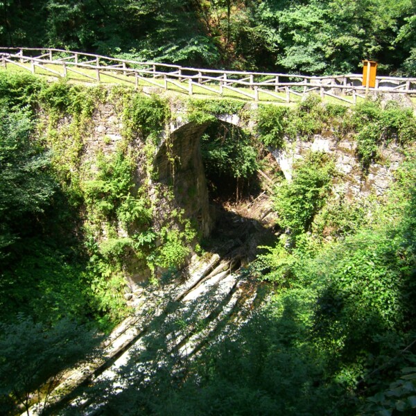 Steinerne Bogenbrücke mit Vegetation in Breggia, Tessin.