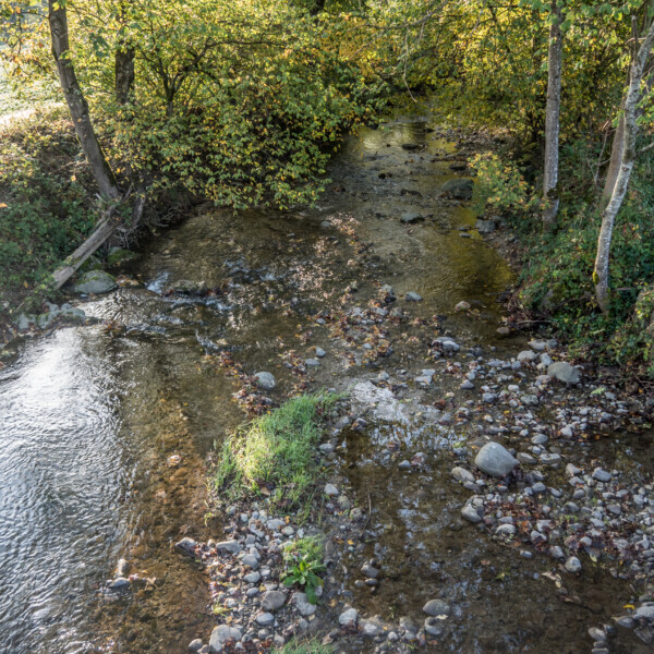 Fließender Bach in Bressonne, umgeben von Bäumen und Steinen. Ruhige Landschaft.