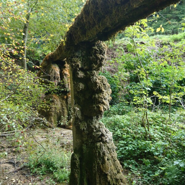 Bruggbach: Moosbedeckte Brücke über Bachlauf in üppiger Natur.