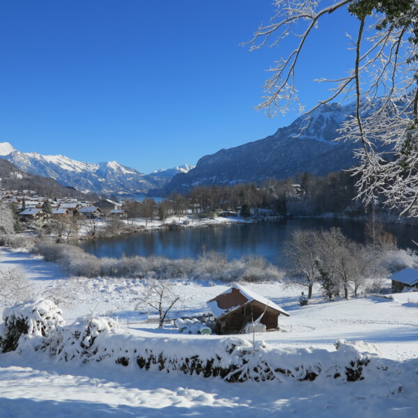 Winterlandschaft am Burgseeli in Ringgenberg mit Schnee und Bergen im Hintergrund.