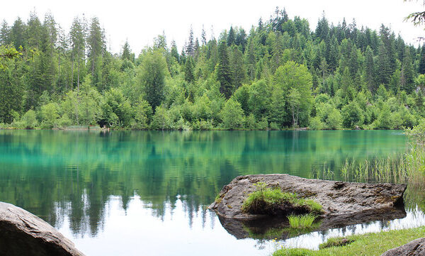 Klares, türkisfarbenes Wasser des Crestasee, umgeben von grünen Bäumen und Felsen.