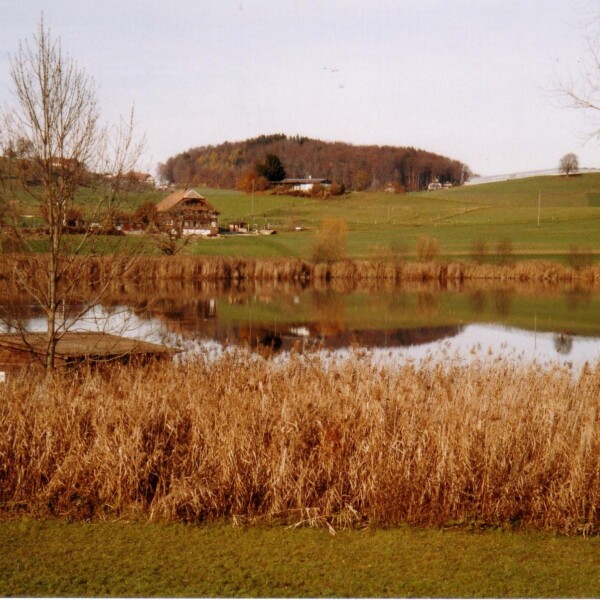 Dittligsee: Ruhiger See mit Schilf, Hügeln und einem Bauernhaus im Hintergrund.
