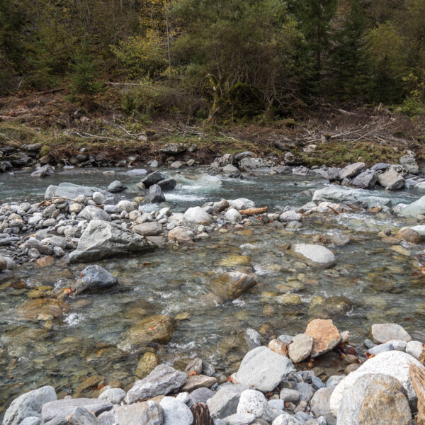 Fluss Eau Noire mit Felsen und Bäumen. Klarem Wasser.