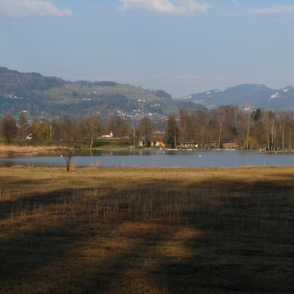 Egelsee in Bubikon mit See, Bäumen und Bergen im Hintergrund.