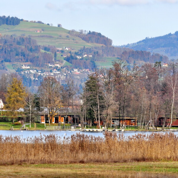 Egelsee bei Bubikon: Seeufer mit Schilf, Bäumen und Häusern vor bewaldeten Hügeln.
