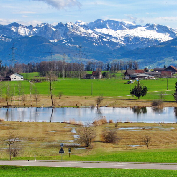 Egelsee Bubikon Landschaft mit See, grünen Wiesen und schneebedeckten Bergen im Hintergrund.