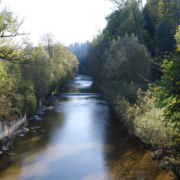Fluss Emme mit Bäumen und Grün am Ufer. Sonniger Tag.