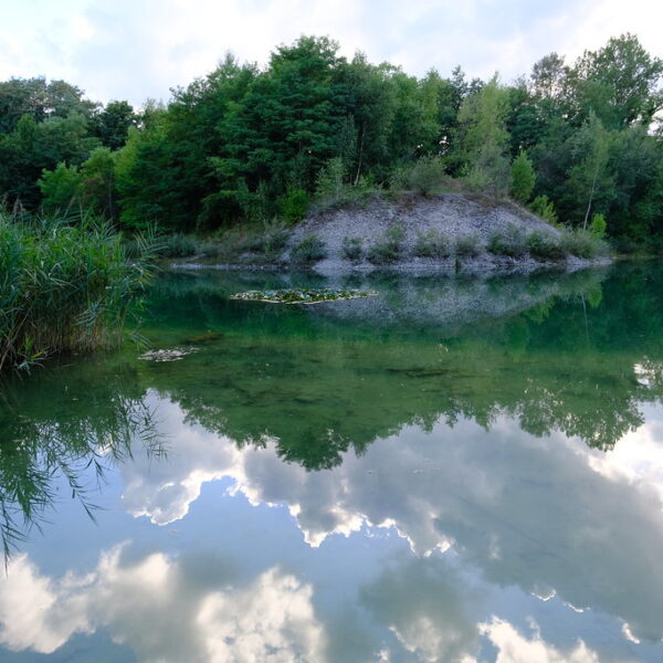 Grüner See mit Spiegelung des Himmels im Étang des Bouvières.