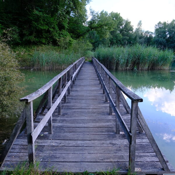 Holzsteg über den Étang des Bouvières, umgeben von Schilf und Bäumen.