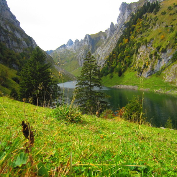 Idyllischer Fälensee in den Schweizer Alpen mit grünen Wiesen und steilen Felswänden.