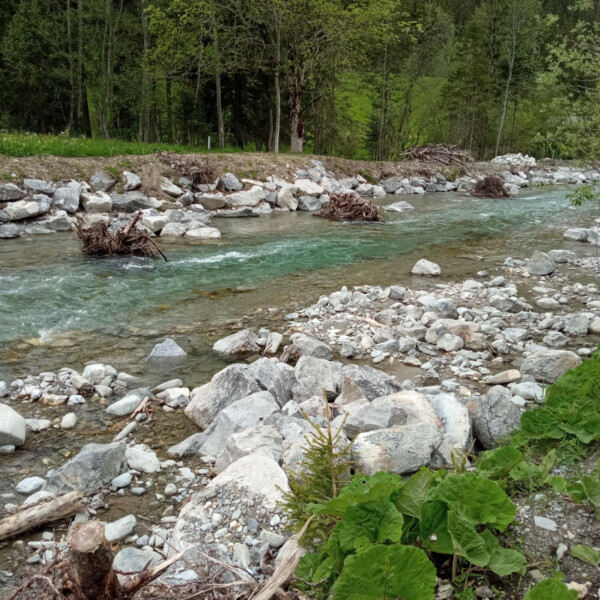 Klarer Fluss Fildrich mit Steinen und Bäumen am Ufer.