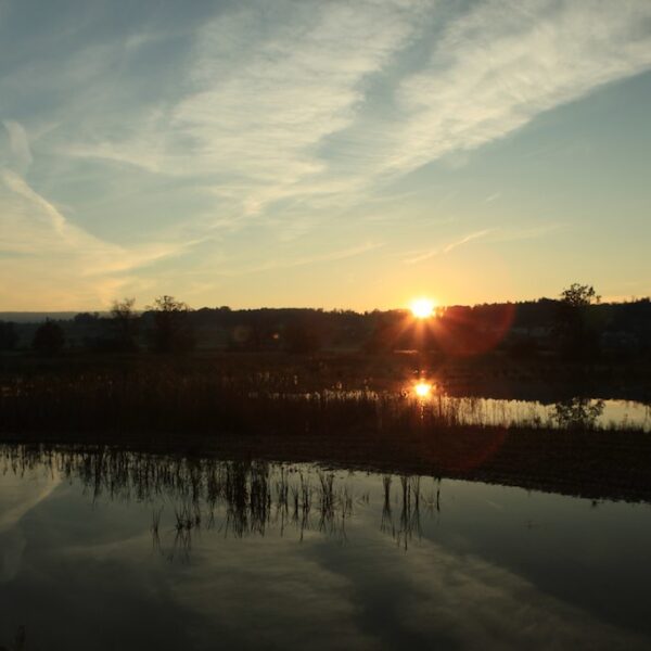 Flachsee bei Sonnenuntergang: Spiegelung im Wasser.