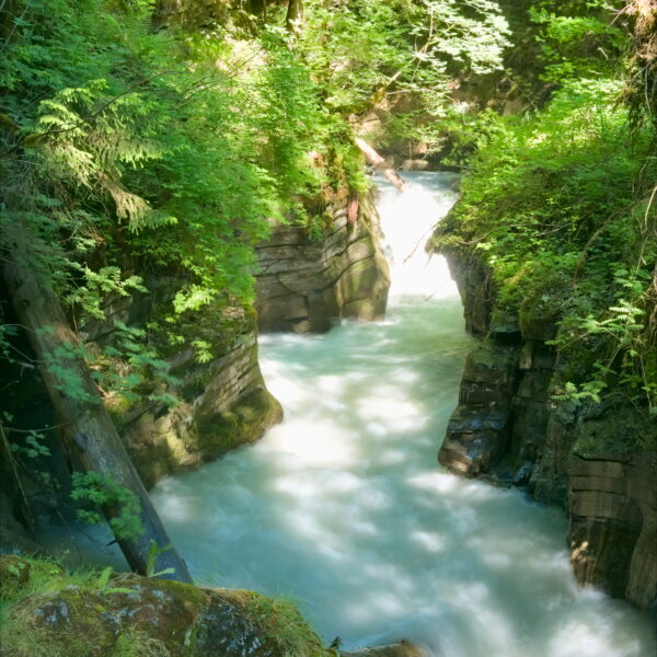 Schneller Fluss durch eine grüne Schlucht. Das Wasser ist hell und schäumend.