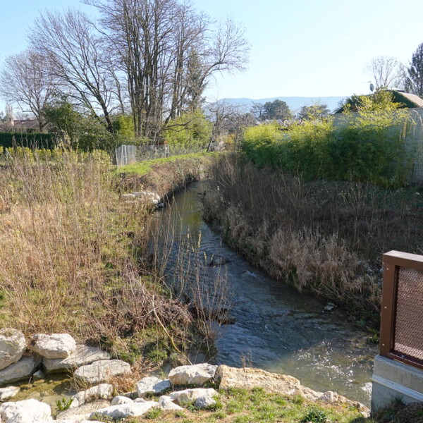 Foron-Flusslauf mit Uferbewuchs und Graffiti-Wand.