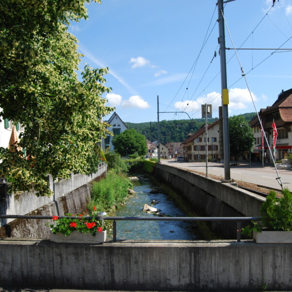 Fluss Frenke in Schweizer Dorflandschaft mit Häusern und Bahnübergang.