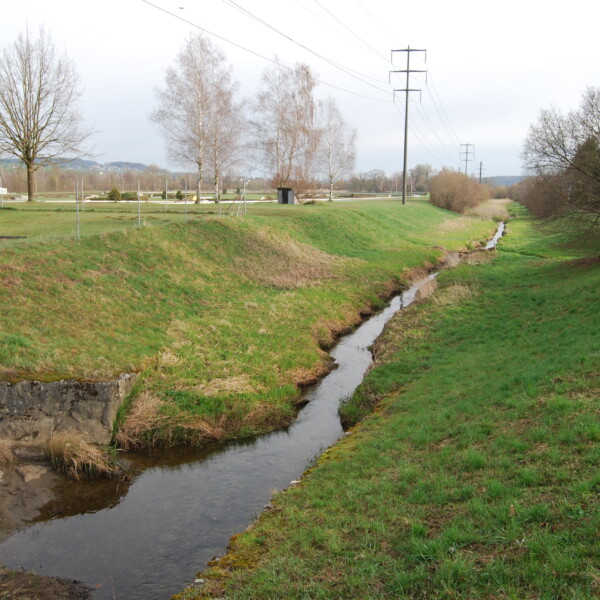 Furtbach in Zürich: Bachlauf durch grüne Landschaft mit Bäumen und Strommasten.