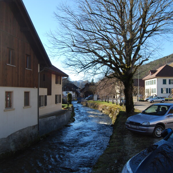 Fluss Gabiare fließt durch ein Dorf mit traditionellen Häusern und einem Baum.