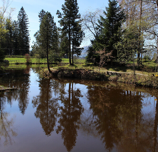 Gäbrisseeli: Ruhiger See mit Spiegelung der Bäume und grüner Landschaft im Hintergrund.