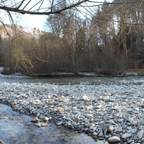 Gérine (Ärgera) Flusslandschaft mit Kiesstrand und Bäumen im Winter