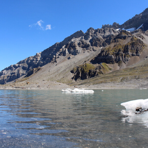 Griesslisee mit Eisbergen und Bergkulisse unter blauem Himmel.
