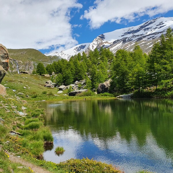 Grindjisee: Ruhiger Bergsee mit Spiegelung von Bäumen und schneebedeckten Bergen im Hintergrund.
