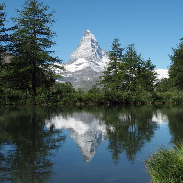 Matterhorn Spiegelung im Grindjisee See mit Bäumen im Vordergrund.
