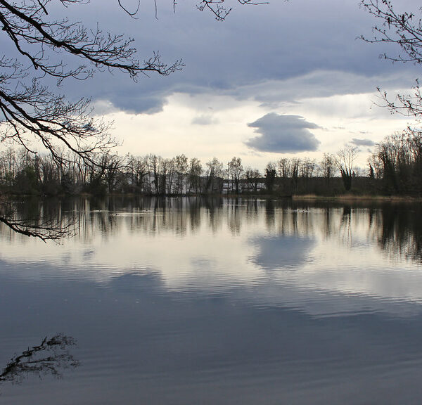 Groossweiher See mit Spiegelung der Bäume und des Himmels. Ruhige Wasseroberfläche.