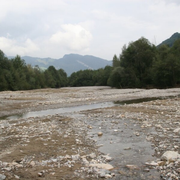 Flussbett der Grossen Schliere mit Kies, Wasser und Bäumen vor Bergen.