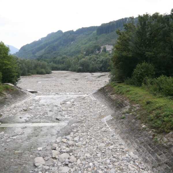 Grosse Schliere Flussbett mit Steinen und grüner Vegetation im Hintergrund.