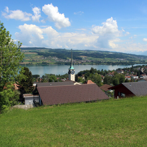 Hallwilersee-Ansicht mit Kirchturm, Häusern und grüner Landschaft unter blauem Himmel.